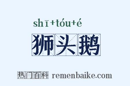 狮头鹅是什么意思的图片